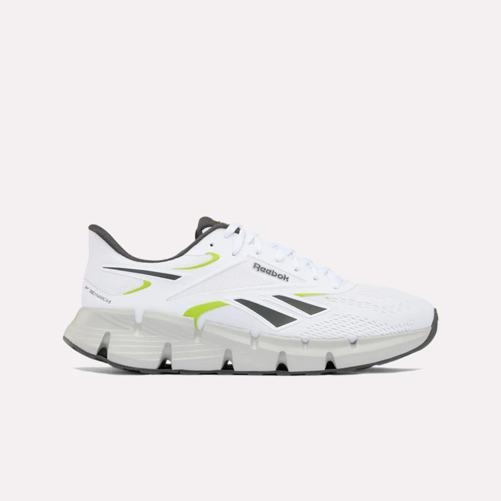 Zig Dynamica 6 Men's Shoes
