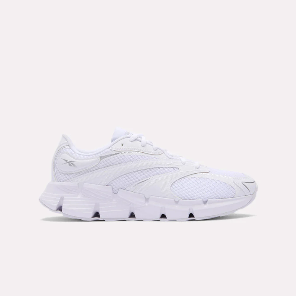 Zig Hypnotica Unisex Shoes